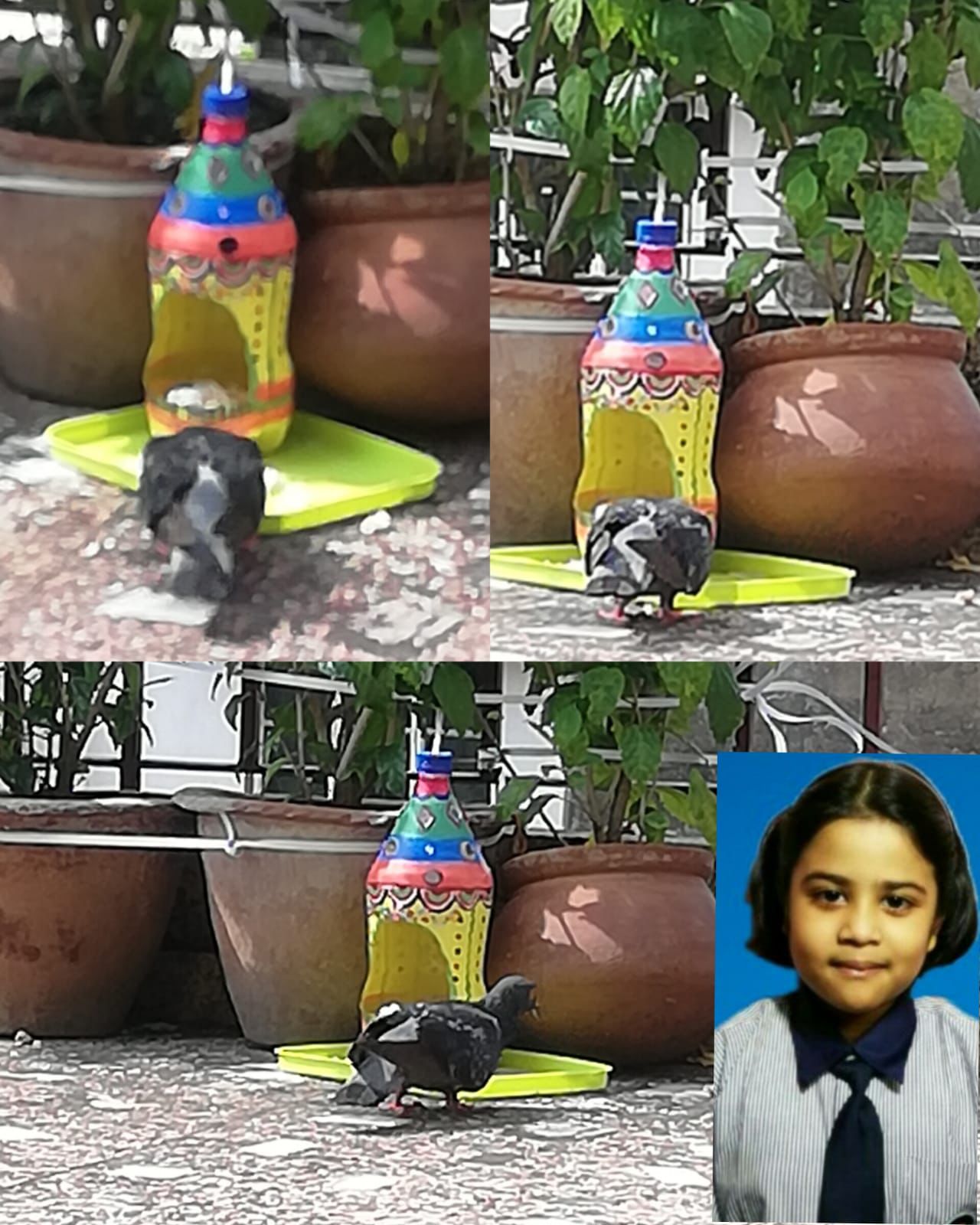 Handmade Bird Feeders